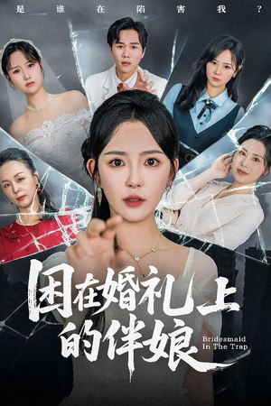 困在婚礼上的伴娘（60集）好看吗