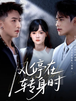 风停在转身时（72集）演的怎么样
