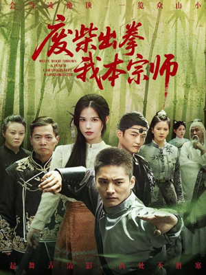 废柴出拳我本宗师（61集）短剧演员排行榜