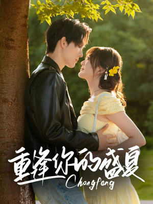 重逢你的盛夏（66集）短剧小说在线看