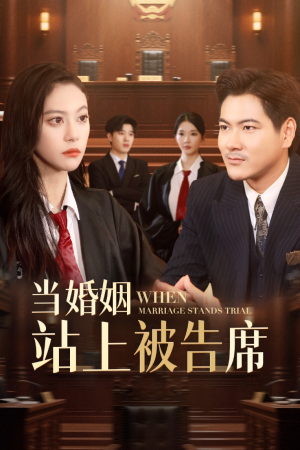 当婚姻站上被告席（30集）超火短剧抢先看