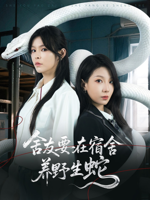 舍友要在宿舍养野生蛇（60集）看精彩短剧