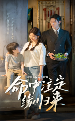 命中注定缘归来（63集）大结局太过瘾了
