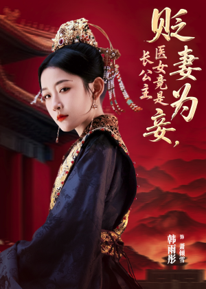 贬妻为妾医女竟是长公主（80集）短剧热播推荐