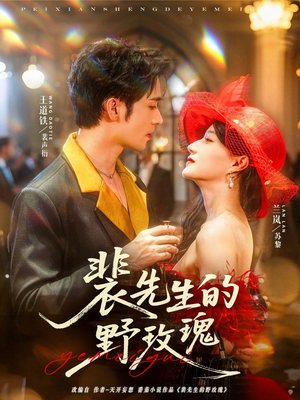 裴先生的野玫瑰（72集）好看吗