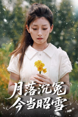 月落沉冤今当昭雪（60集）免费看短剧