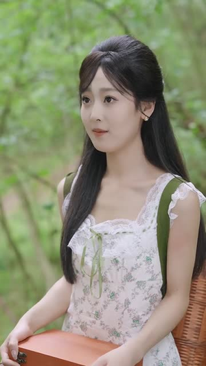 乡村小圣医 (80集)短剧精彩推荐