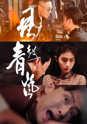 风起青岚（96集）精彩好看短剧