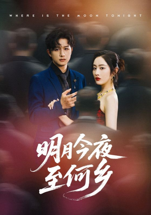明月今夜至何乡（70集）全网短剧抢先看