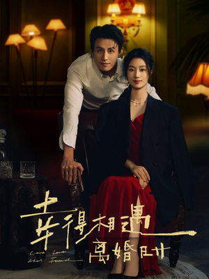 幸得相遇离婚时（81集）高分佳作免费看