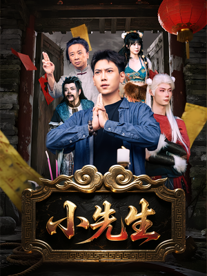 小先生（79集）最火短剧推荐