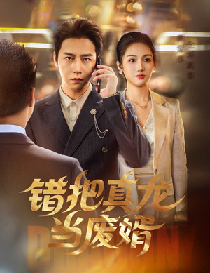 错把真龙当废婿（60集）短剧热播中