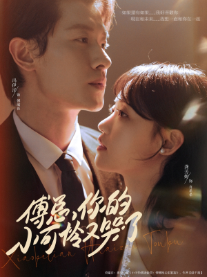 傅总你的小可怜又哭了(80集) 傅总你的小可怜又哭了(80集)短剧太好看了