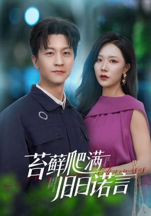 情途难负（83集）全网独播免费看