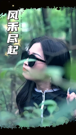 风禾尽起（31集）免费观看