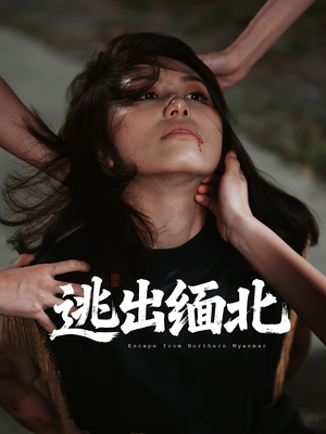 逃出缅北（62集）短剧在线观看