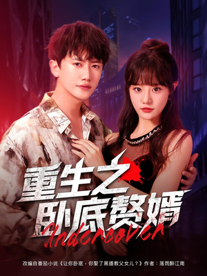 重生之卧底赘婿（82集）热门短剧排行榜