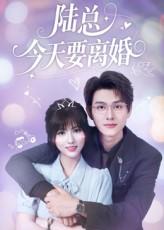 陆总今天要离婚（81集）经典老剧免费看