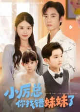 小厉总你找错妹妹了（52集）夸克在线观看