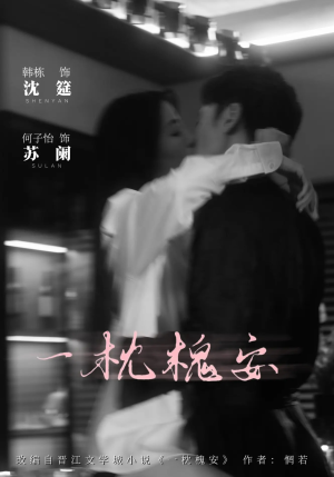 一枕槐安（80集）热播短剧来袭