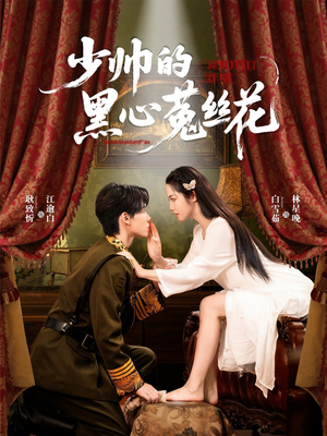少帅的黑心菟丝花（60集）全部免费看全集
