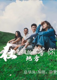 在有风的地方等你（32集）爆火短剧推荐