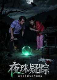 夜珠疑踪（30集）短剧在线更新