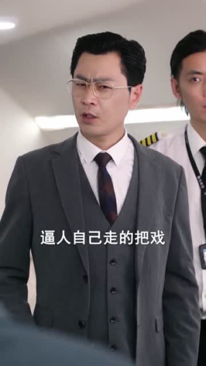 退休返聘之大夏机长（98集）直接看到大结局