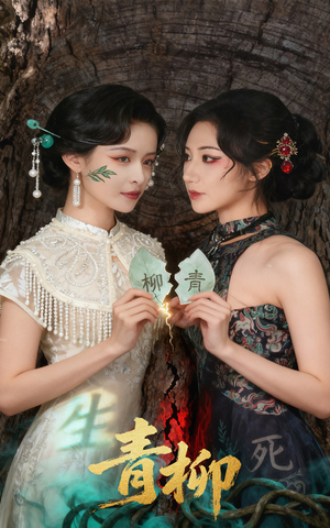 青柳（79集）超好看短剧推荐