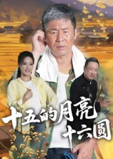 十五的月亮十六圆（60集）1-102集