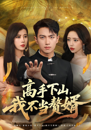 高手下山我不当赘婿（66集）深深爱上这部剧