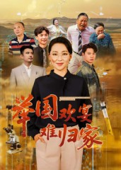 举国欢宴难归家（40集）视频在线看