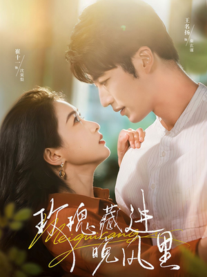 玫瑰藏进晚风里（68集）免费观看