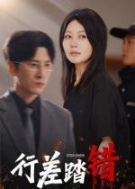 行差踏错（61集）精彩短剧后续