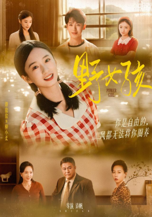 野女孩（91集）精彩短剧免费看