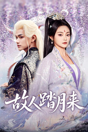 故人踏月来（60集）一口气追完短剧