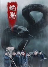 蛇影（25集）百度网盘资源