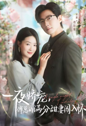 一夜娇宠，傅总的满分甜妻闯入怀（60集）怎么看全集