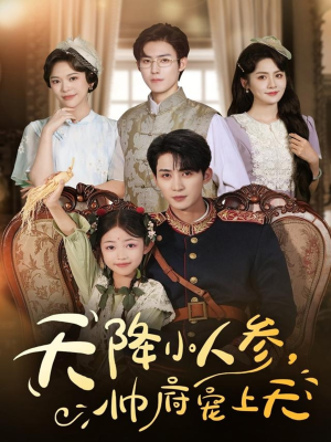 天降小人参,帅府宠上天(83集) 天降小人参,帅府宠上天(83集)集免费看短剧