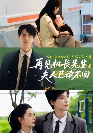 再见机长先生夫人已读不回（62集）热门短剧推广