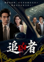 追凶者（52集）精彩热门短剧
