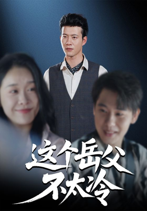 这个岳父不太冷（30集）短剧精彩绝伦