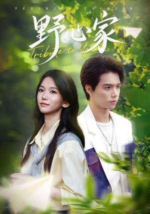 野心家（65集）追短剧关注我