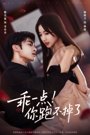 乖一点!你跑不掉了(80集) 乖一点!你跑不掉了(80集)热门短剧免费看