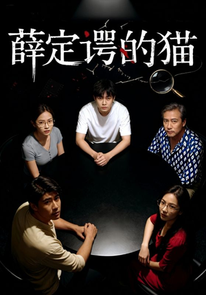 薛定谔的猫（30集）全集都在这里了