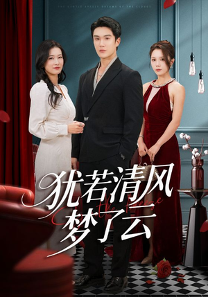 犹若清风梦了云（66集）全集下载