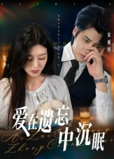 爱在遗忘中沉眠（62集）评价怎么样