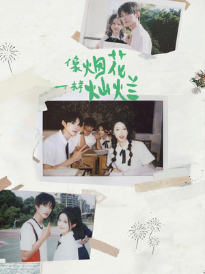 像烟花一样灿烂（60集）短剧全集完整版