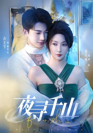 夜寻千山（60集）简直不要太好看