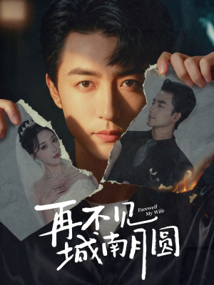 再不见城南月圆(60集) 再不见城南月圆(60集)好看短剧分享